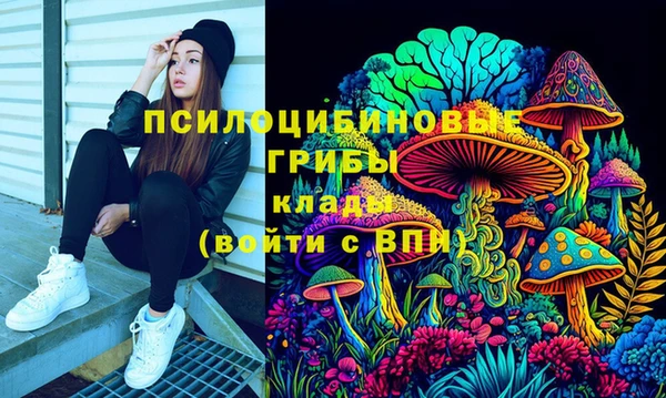 мяу мяу мука Белокуриха