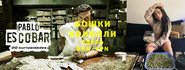 мяу мяу мука Белокуриха
