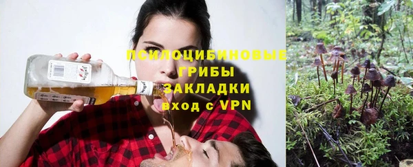 мяу мяу мука Белокуриха