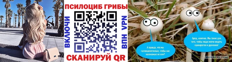 Псилоцибиновые грибы Magic Shrooms  Гремячинск 